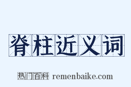 脊柱近义词是什么意思的图片